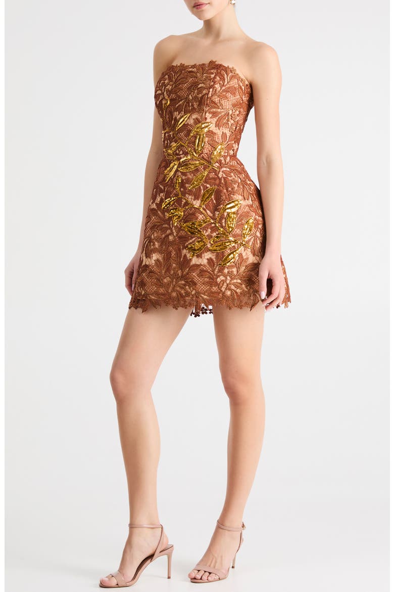 Cleo Embroidered Strapless Minidress, Alternate, color, COPPER