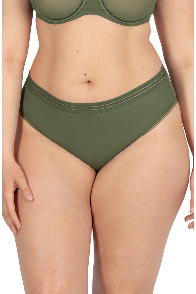 Sheer Mesh High Cut Briefs, Main, color, BRONZE GREEN