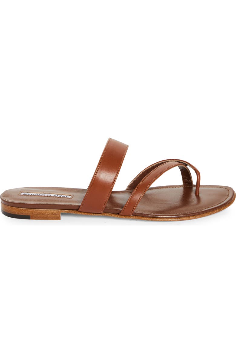 Manolo Blahnik Susa Sandal, Alternate, color, Brown
