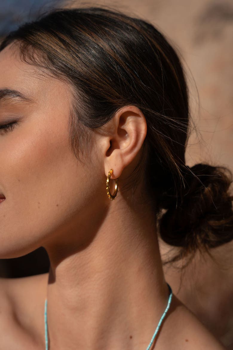 Aida Hoop Earrings, Alternate, color, Brass