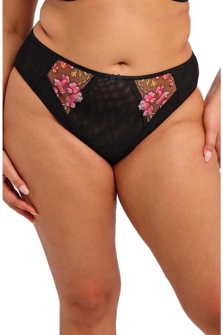 Teagan High Leg Briefs video
