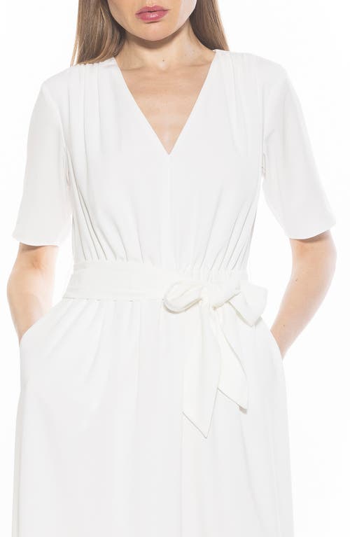 Alexia Admor Larisa A-line Dress In Ivory