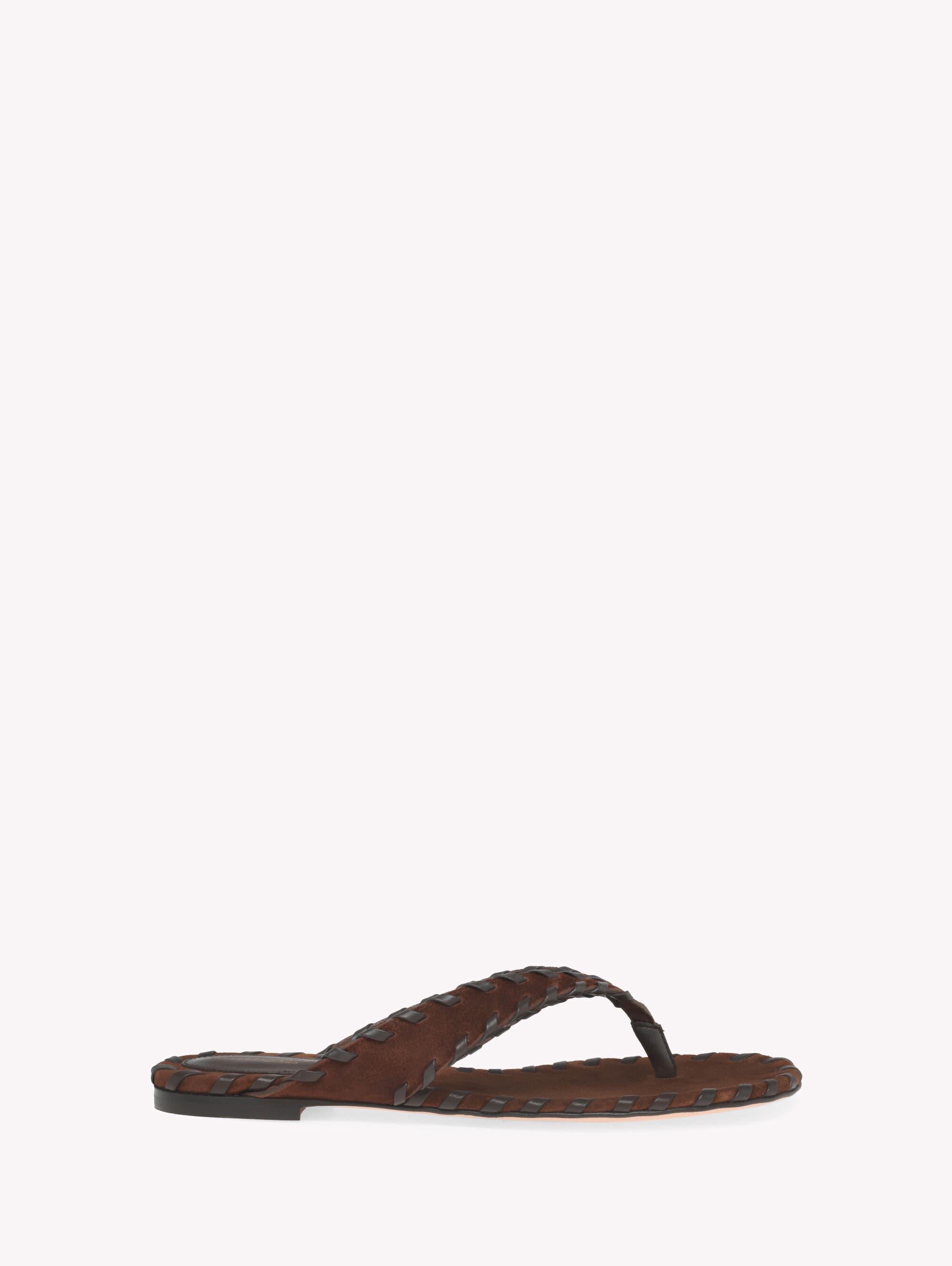 Gianvito Rossi Zaira Thong Flat Sandal, Main, color, Brown Suede