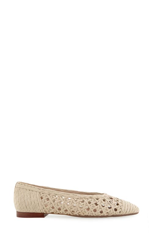AEROSOLES AEROSOLES ARNO RAFFIA BALLET FLAT 