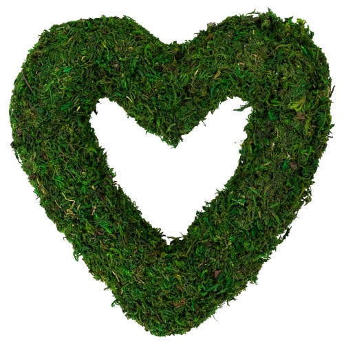 Northlight 13.5" Green Reindeer Moss Heart Twig Artificial Wreath In Green
