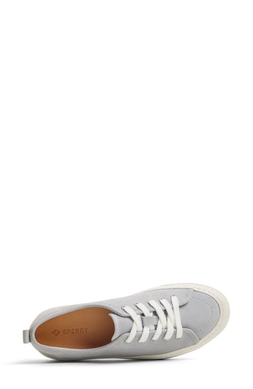 Sperry Candy Low Top Sneaker In Sleet Leather Smooth