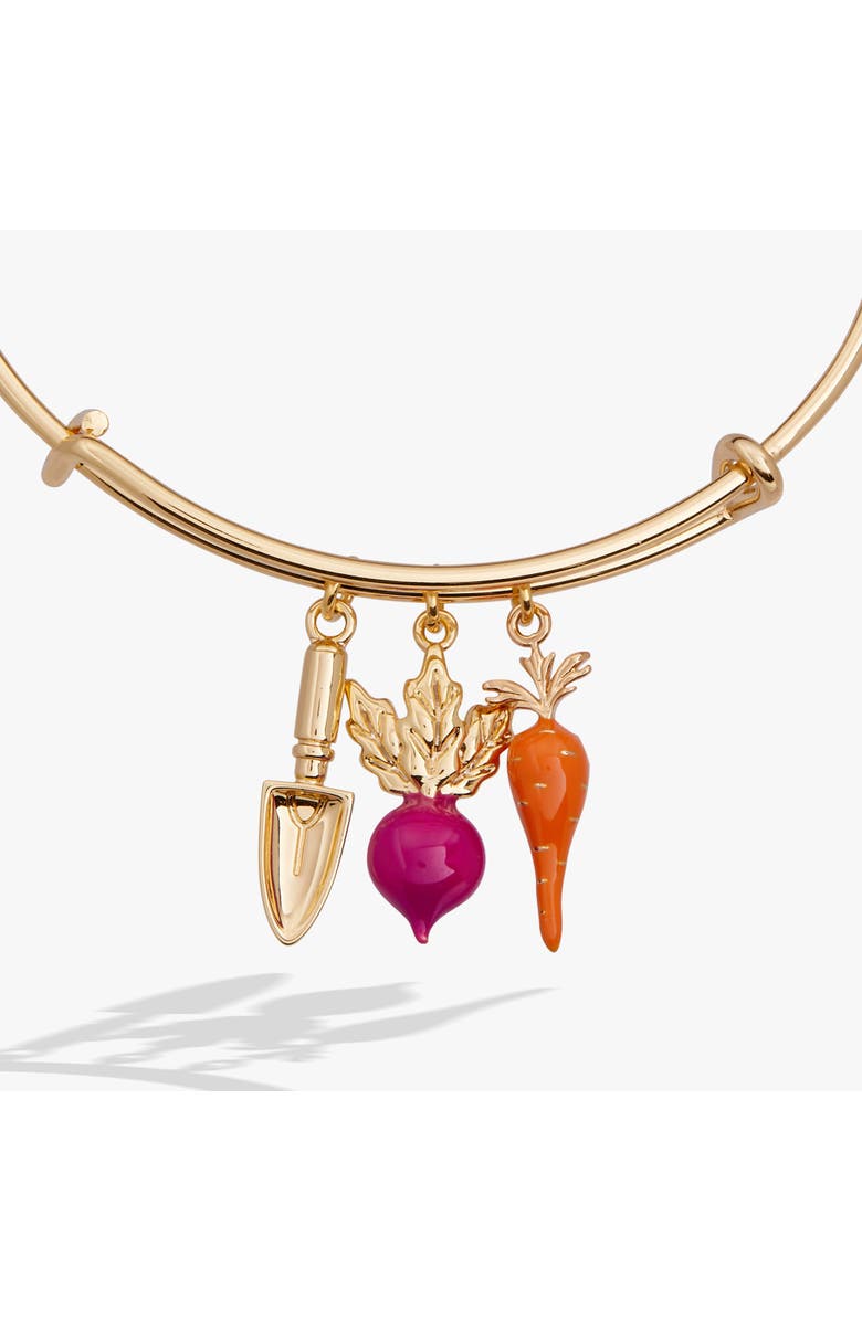 Alex and Ani Farmers' Market Multi Charm Bangle, Alternate, color, 