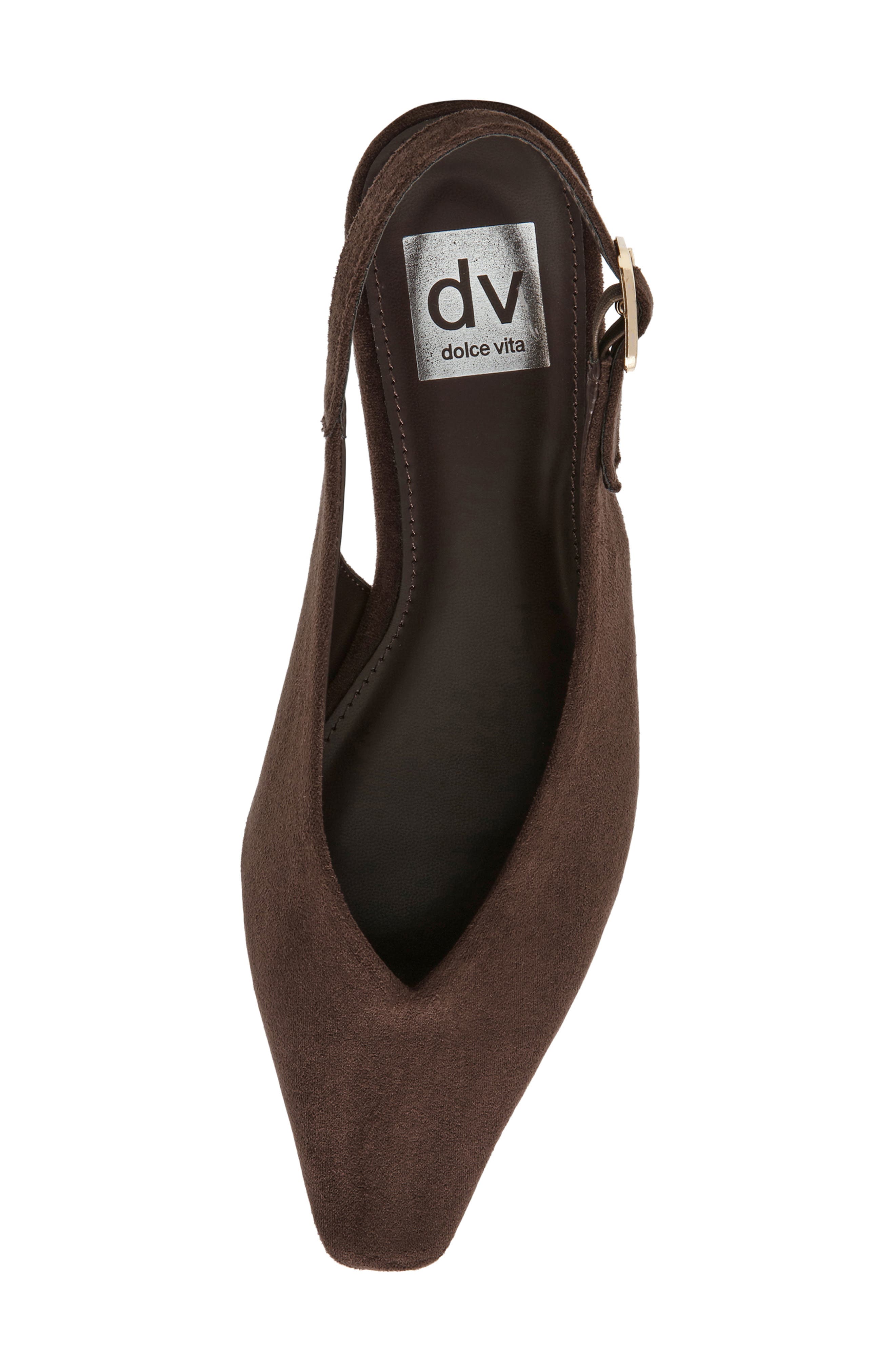 Renada Slingback Pointed Toe Flat, Alternate, color, BROWN