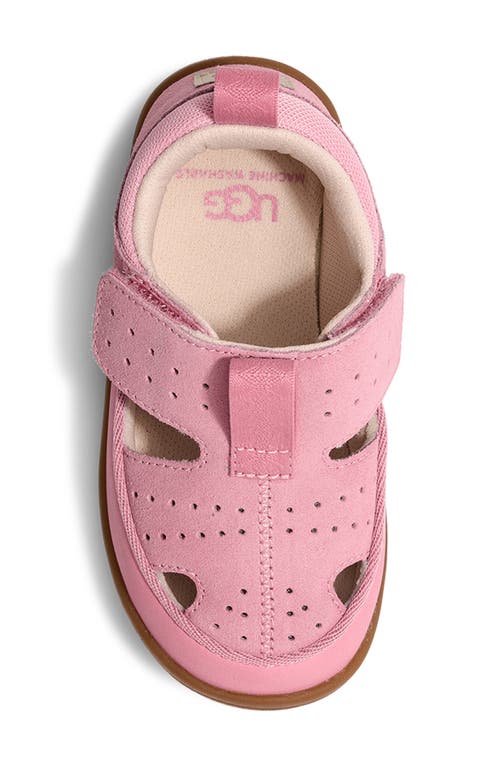 Shop Ugg(r) Kids' Adventurer Fisherman Sandal In Pink Quartz