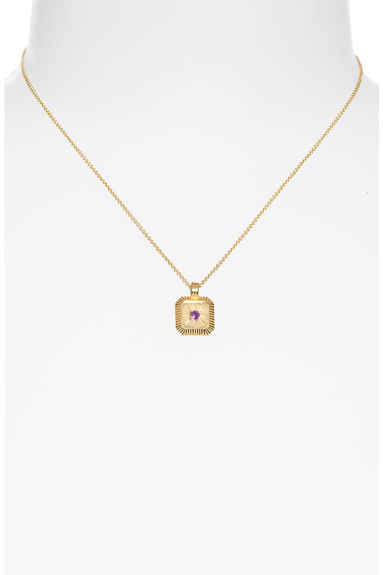 Birthstone Pendant Necklace, Alternate, color, GOLD FEBRUARY