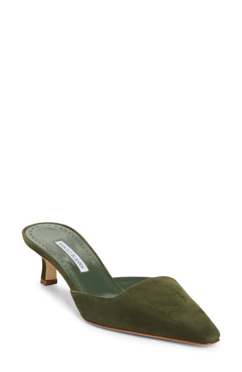 Manolo Blahnik Moiramu Pointed Toe Kitten Heel Mule