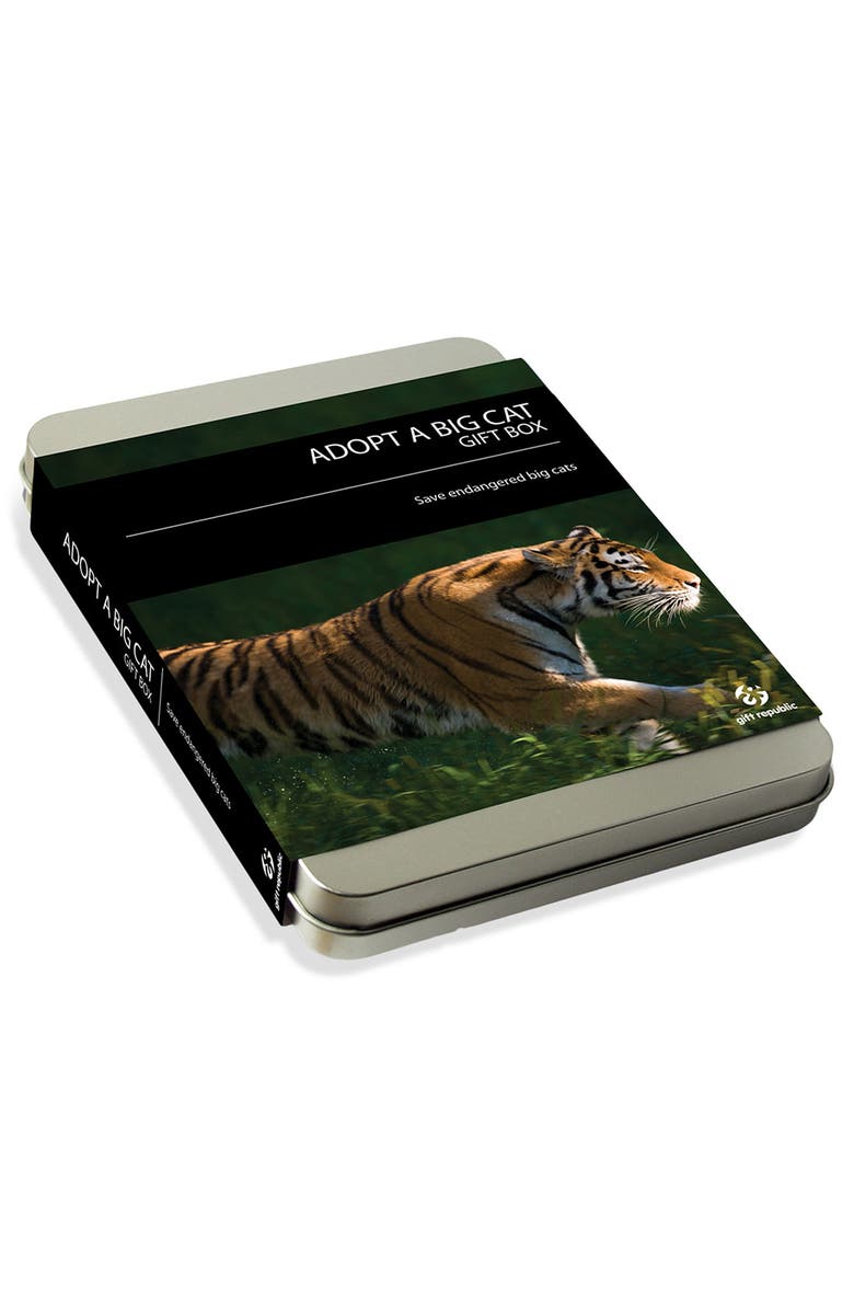 GIFT REPUBLIC , Main, color,