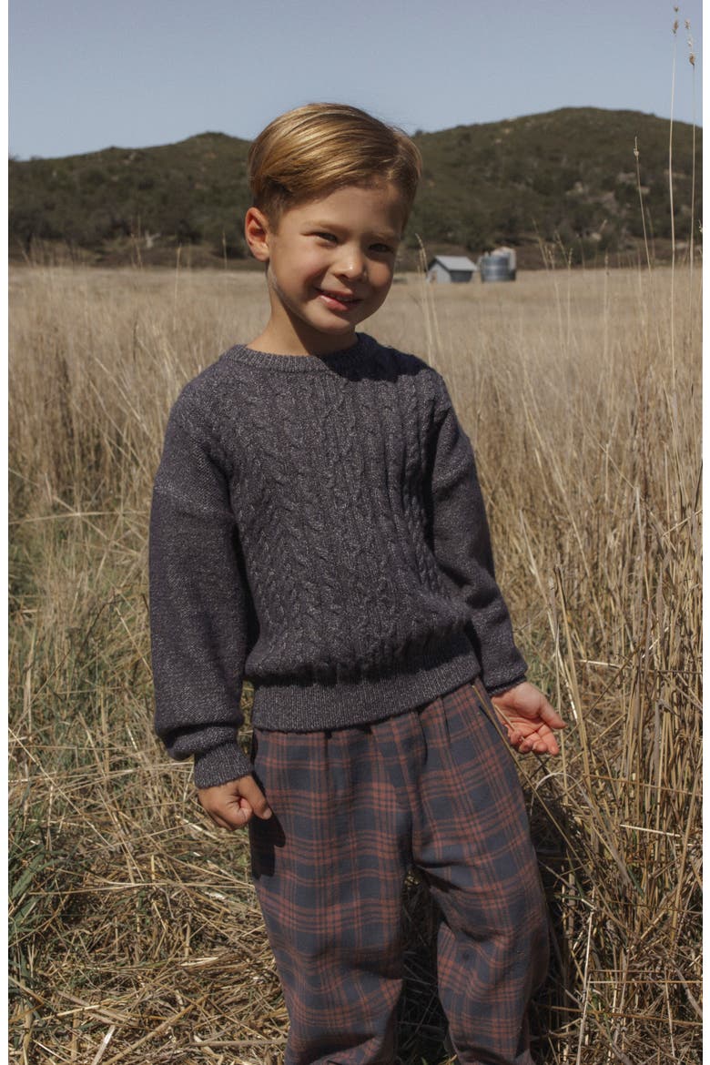 Palmer Plaid Cotton Pants, Alternate, color, MIDNIGHT