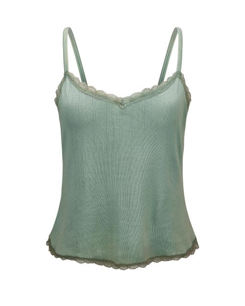 Adore Me Pointelle Cami Top In Multi