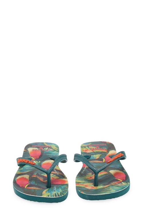 Havaianas X Farm Rio Parrot Floral Flip Flop In Pantanal Green
