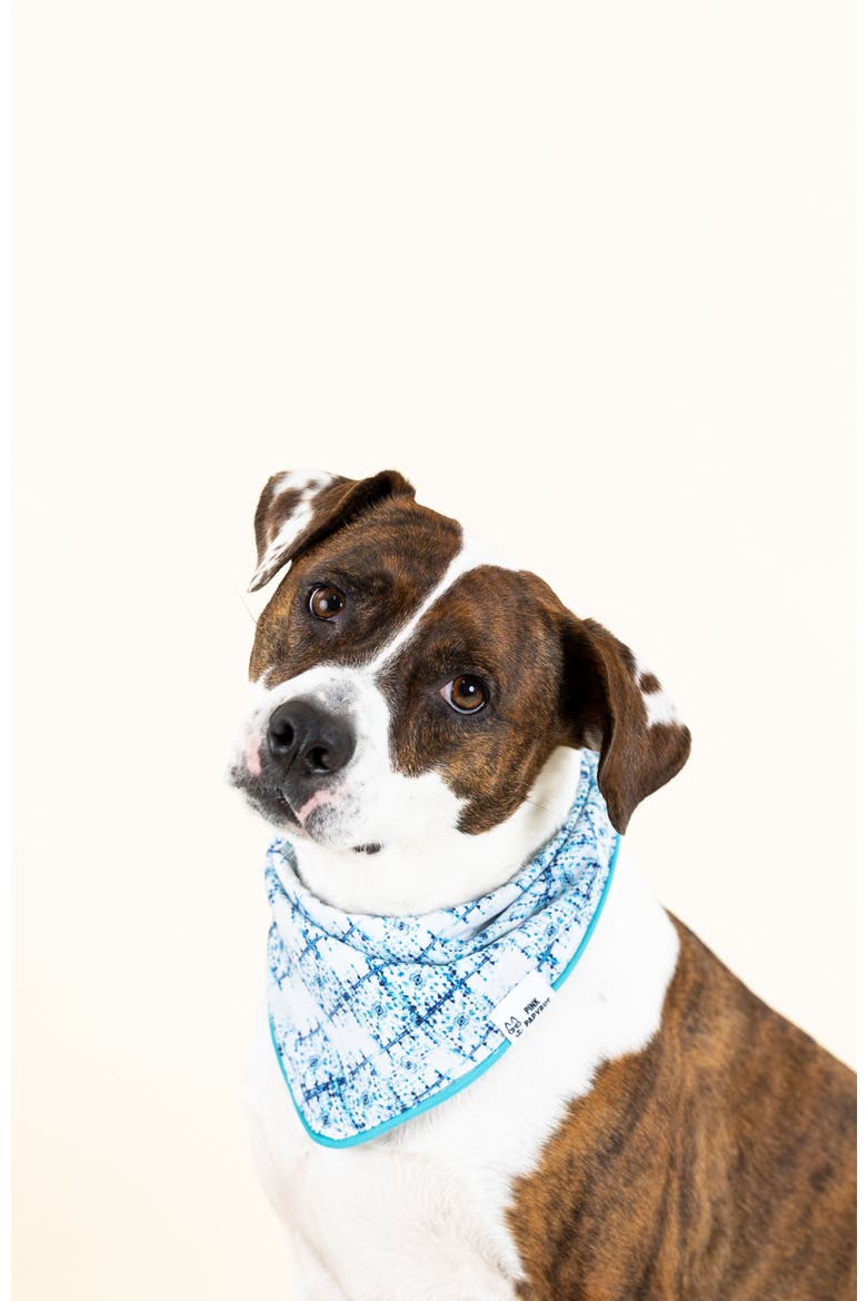 Koa Pet Bandana, Alternate, color, Koa