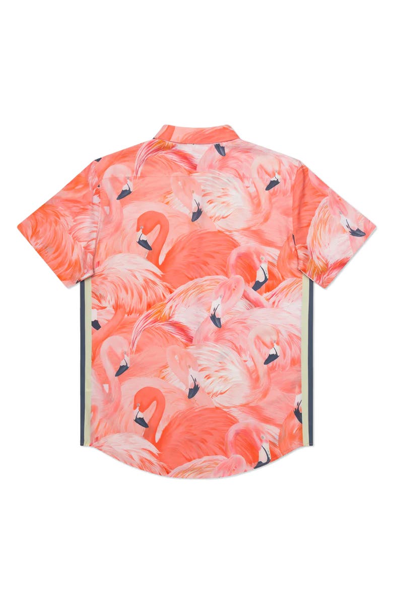 MAVRANS Tailored Fit Flamingo Print Waterproof Short Sleeve Performance Button-Up Shirt, Alternate, color,