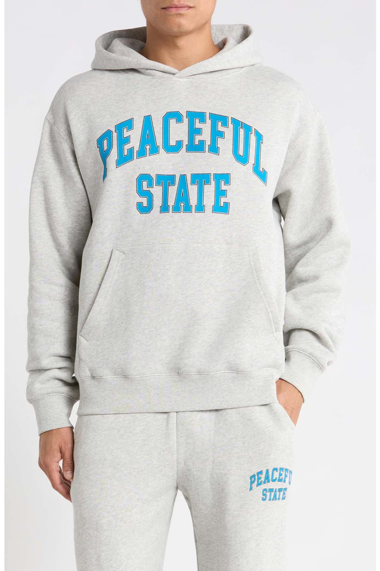 Peaceful Cotton Fleece Hoodie, Main, color, ASH