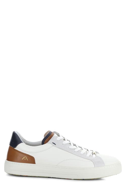 AMBITIOUS AMBITIOUS 11218 LOW TOP SNEAKER 