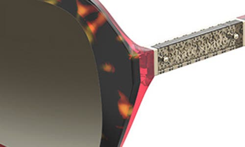 Kate Spade New York Yvette 54mm Gradient Polarized Square Sunglasses In Brown