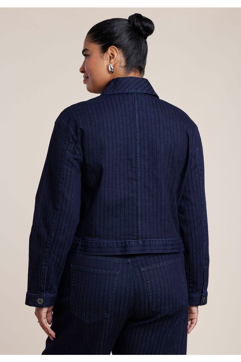 Striped Denim Trucker Jacket, Alternate, color, DARK WASH STRIPE