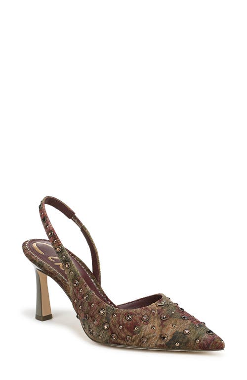 Circus Ny By Sam Edelman Tallie Pointed Toe Slingback Pump In Brown