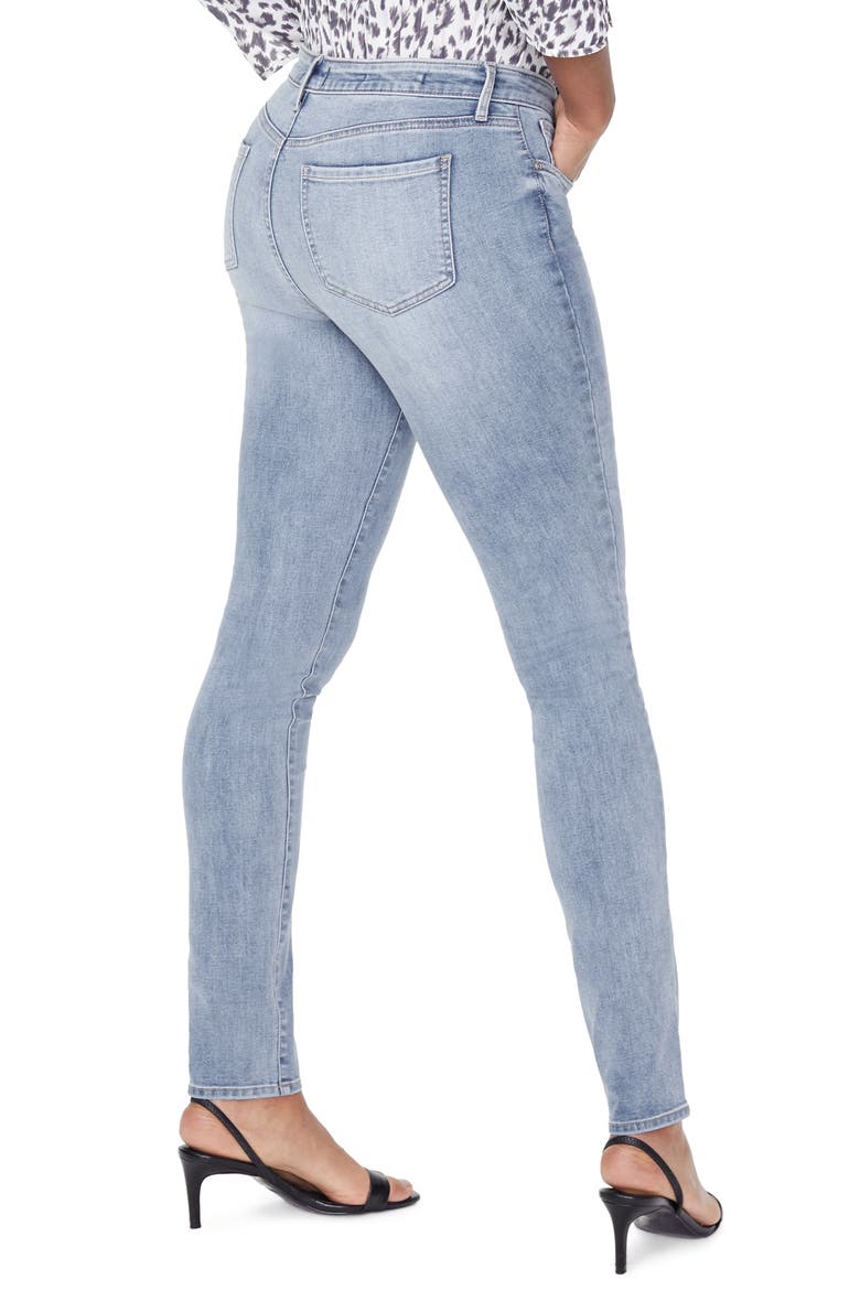 Alina High Waist Skinny Jeans, Alternate, color, BISCAYNE