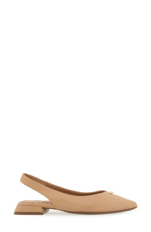 Shop Aerosoles Nayana Pointed Toe Slingback Flat In Beige Bisque Leather
