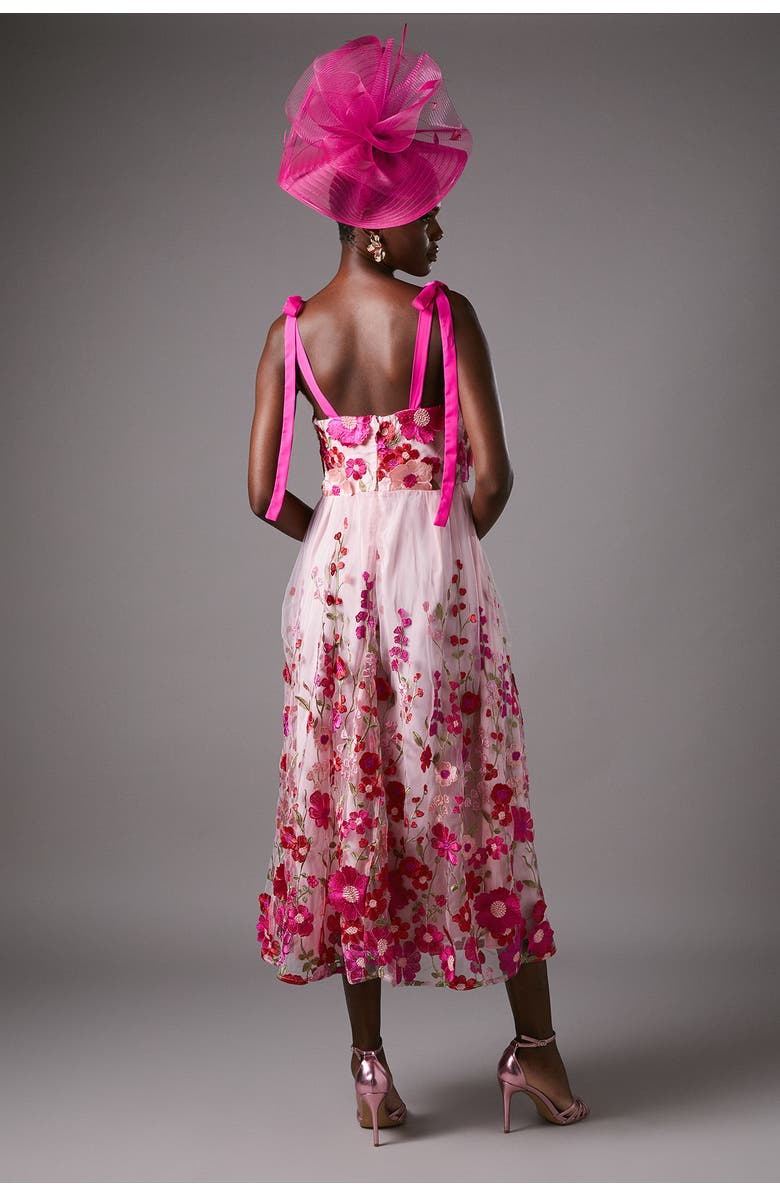 Coast Embroidered Mesh Midi Dress, Alternate, color, Pink