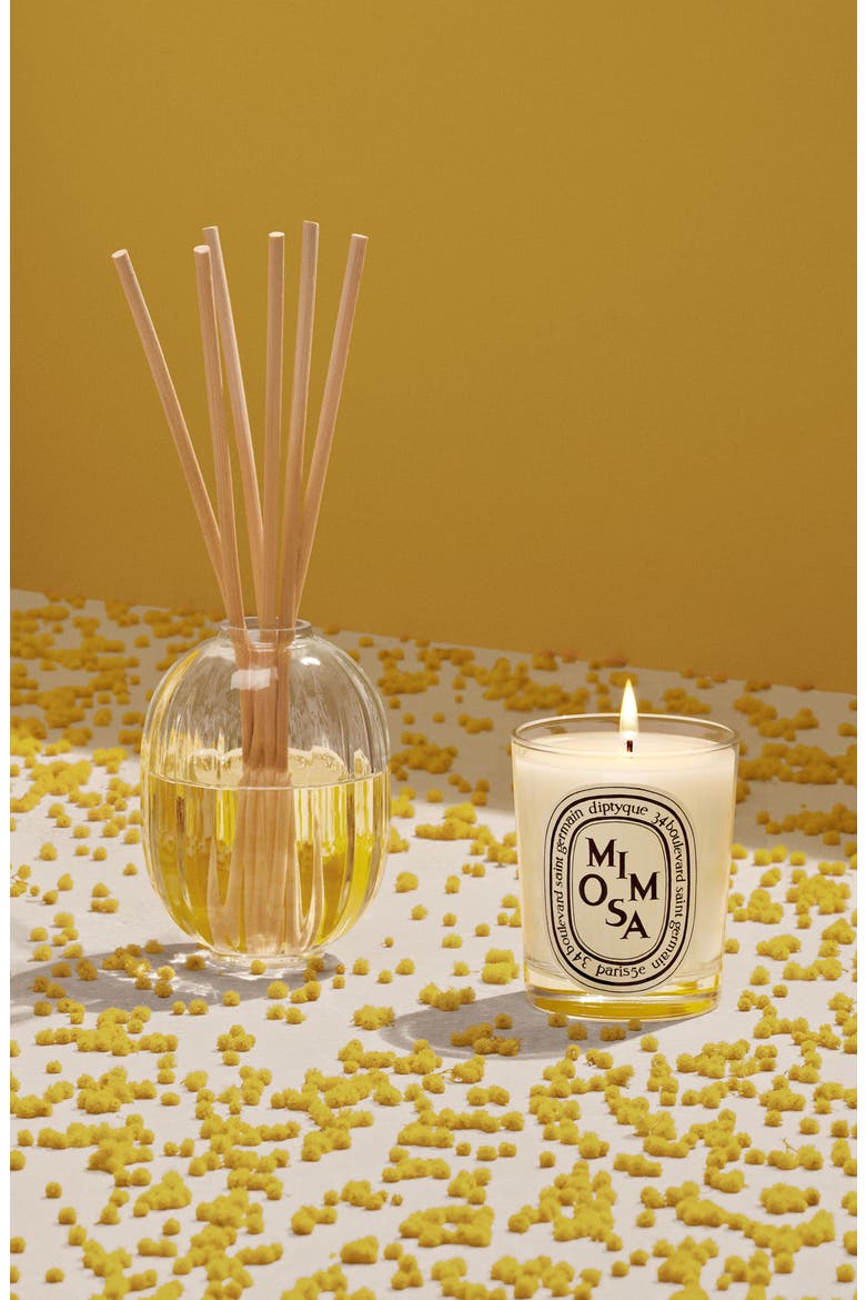Mimosa Scented Candle, Alternate, color, NO COLOR