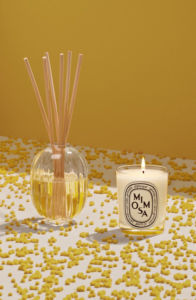 Diptyque Mimosa Scented Candle, Alternate, color,
