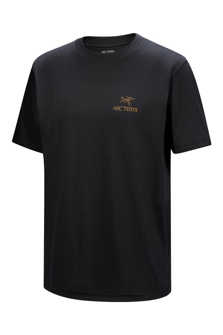 Kragg Bird Worm Cotton Graphic T-Shirt, Alternate, color, 24K BLACK