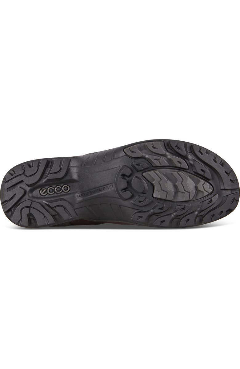 ECCO Biom Terrain Gore-Tex<sup>®</sup> Waterproof Hiking Boot, Alternate, color,