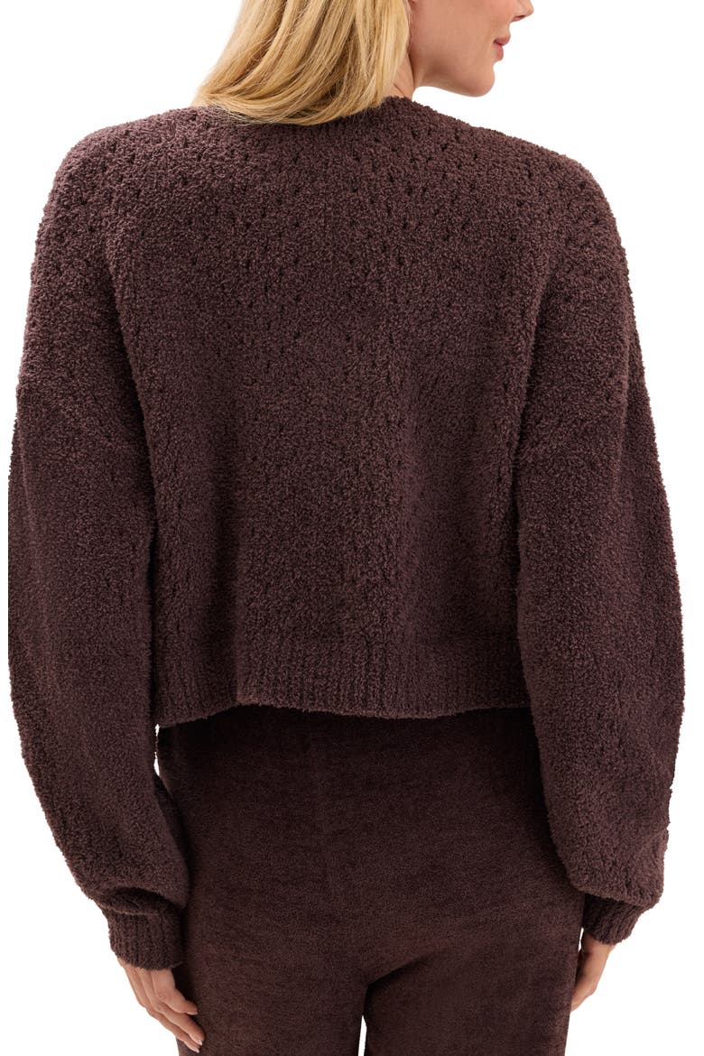 Pointelle Cropped Cardigan, Alternate, color, UMBER