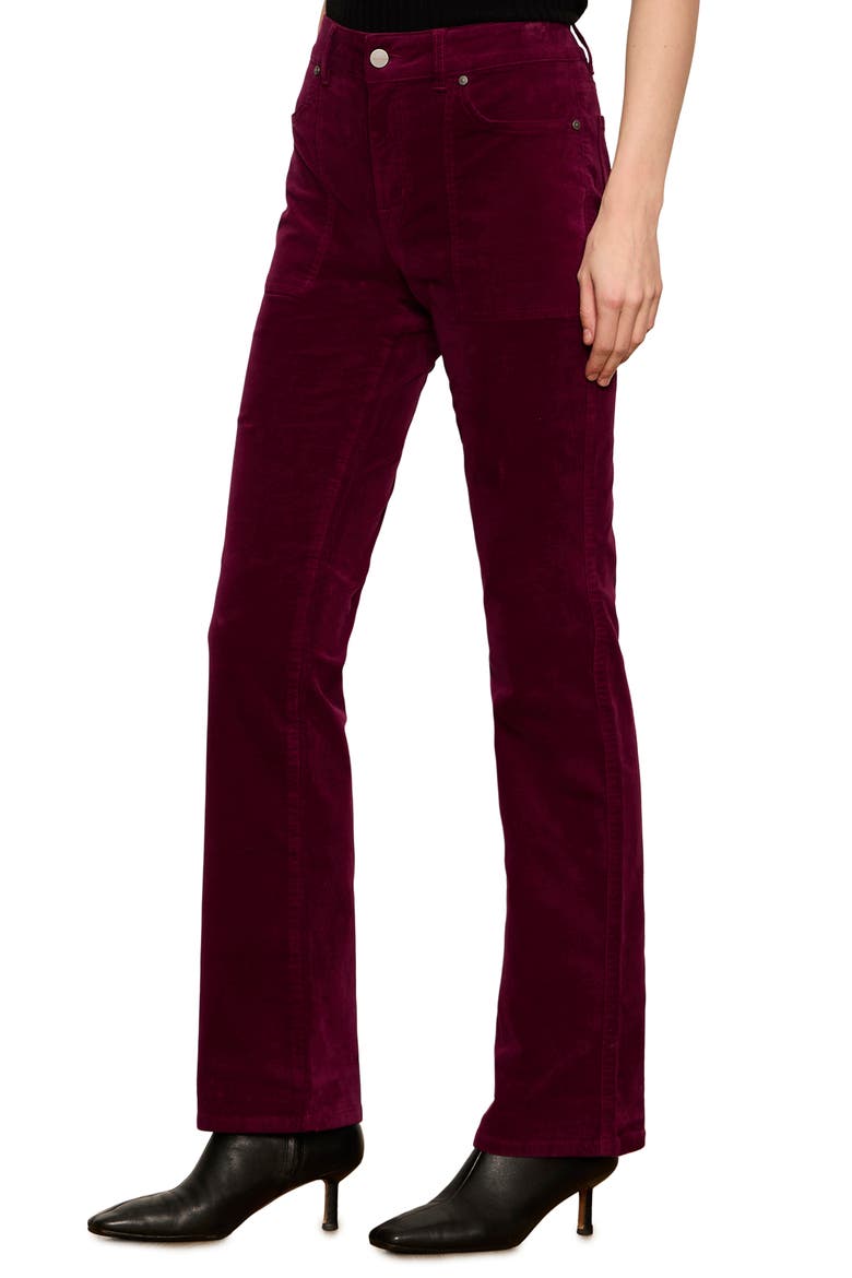 Play Date High Waist Velveteen Bootcut Pants, Alternate, color, BORDEAUX BURGUNDY