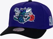 Mitchell & Ness Men's Mitchell & Ness Purple Charlotte Hornets Legendary Home Pro Pinch Snapback Hat