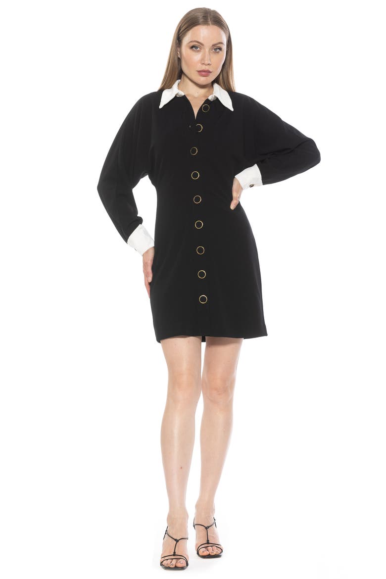 Velvette Long Sleeve Shirtdress, Alternate, color, BLACK IVORY