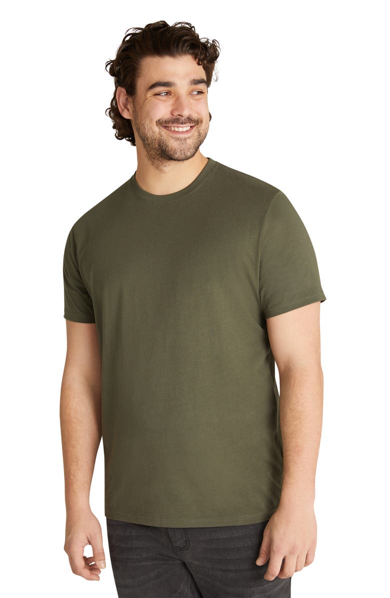 Johnny Bigg Essential Crewneck T-Shirt, Alternate, color, 