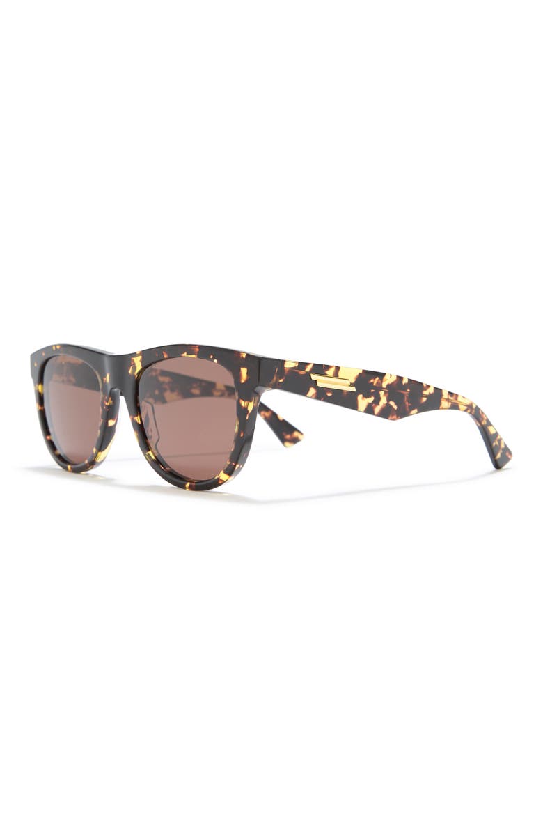 52mm Round Oval Sunglasses, Alternate, color, HAVANA HAVANA BROWN