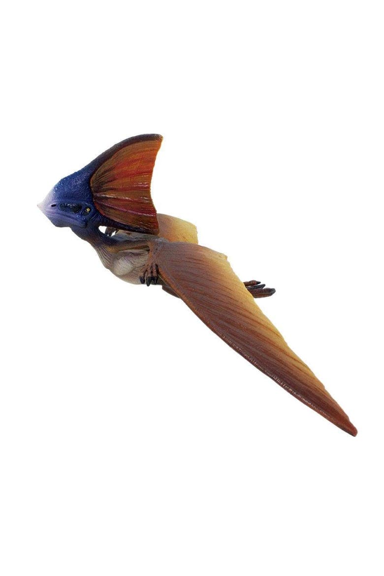 Tapejara Toy, Alternate, color, No Color