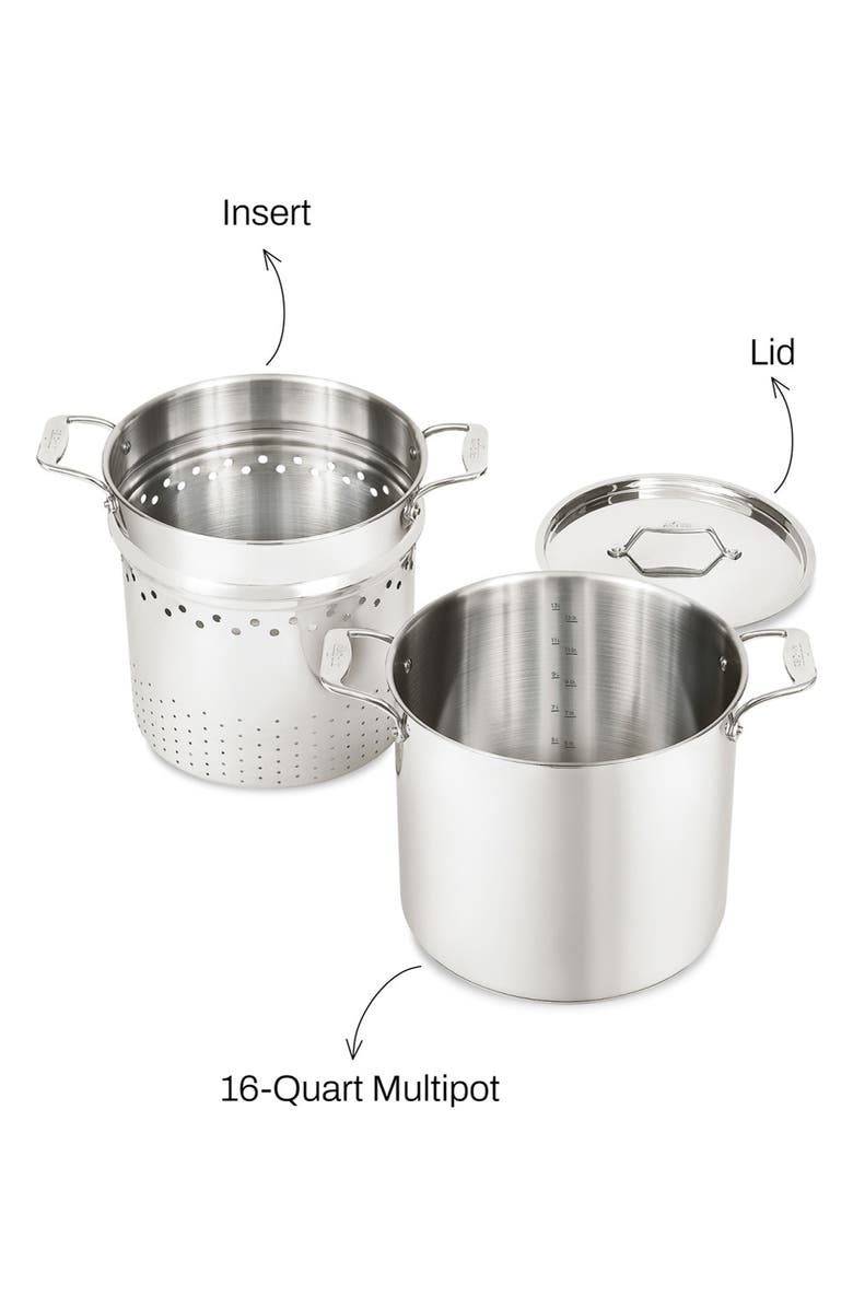All-Clad Simply Strain 16-Quart Stainless Steel Multipot with Insert, Alternate, color, Silver
