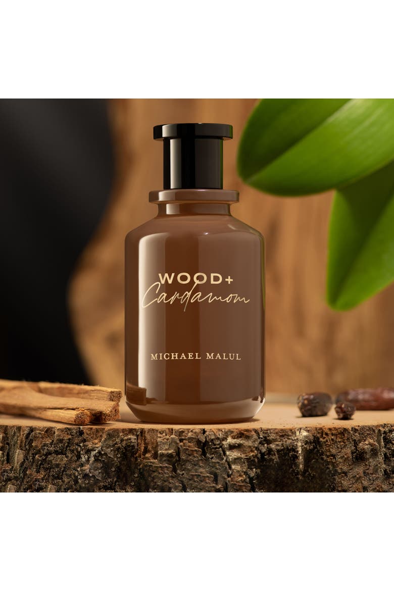 Wood + Cardamom Eau de Parfum, Alternate, color, 100ml