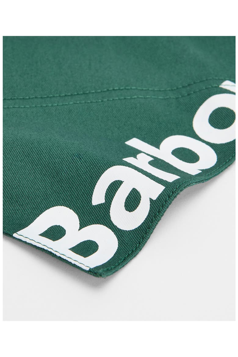 Logo Cotton Dog Bandana, Alternate, color, GREEN