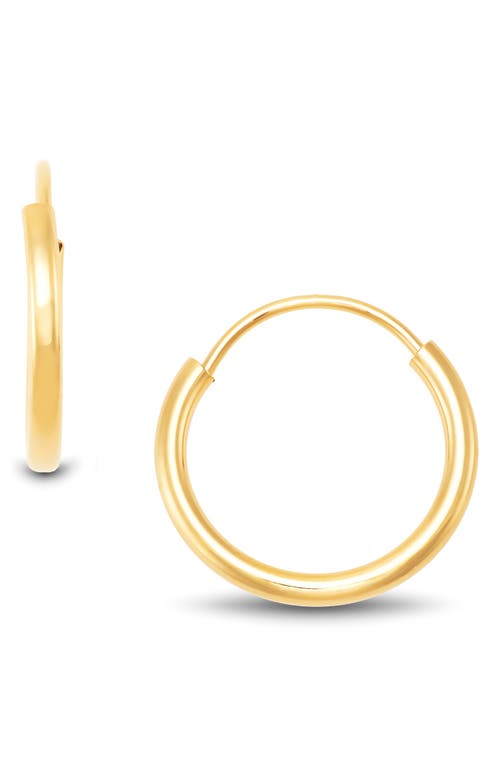 Frankie & Zoe 14k Gold Endless Hoop Earrings