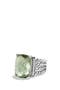 selected Prasiolite