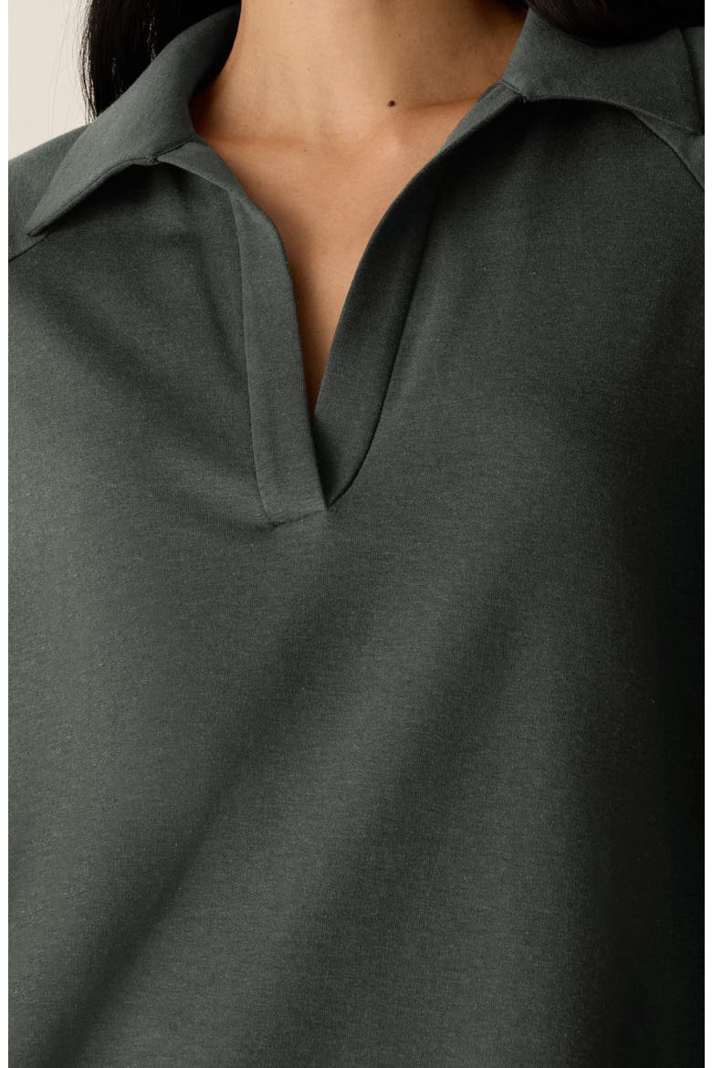 Raglan Sleeve Johnny Collar Knit Top, Alternate, color, SYLVAN