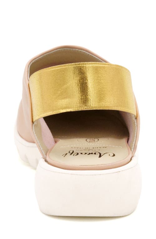 Amalfi By Rangoni Elettrona Slingback Flat In Beige Parm/gold Elastic