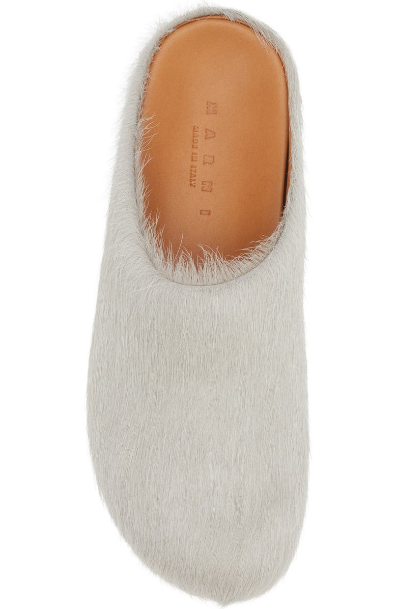 Marni Fussbett Sabot Genuine Calf Hair Clog, Alternate, color,