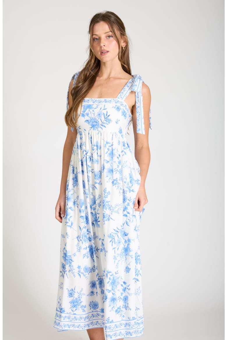 Tie Strap Sleeveless Maxi Dress, Alternate, color, LIGHT BLUE MULTI