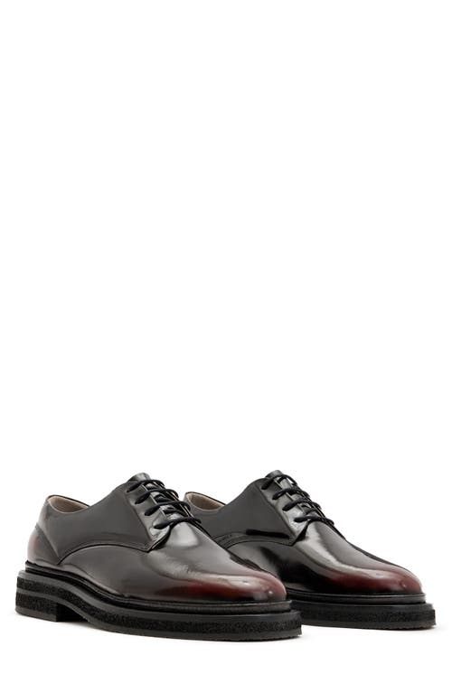 AllSaints Escher Derby in Bordeaux Red 